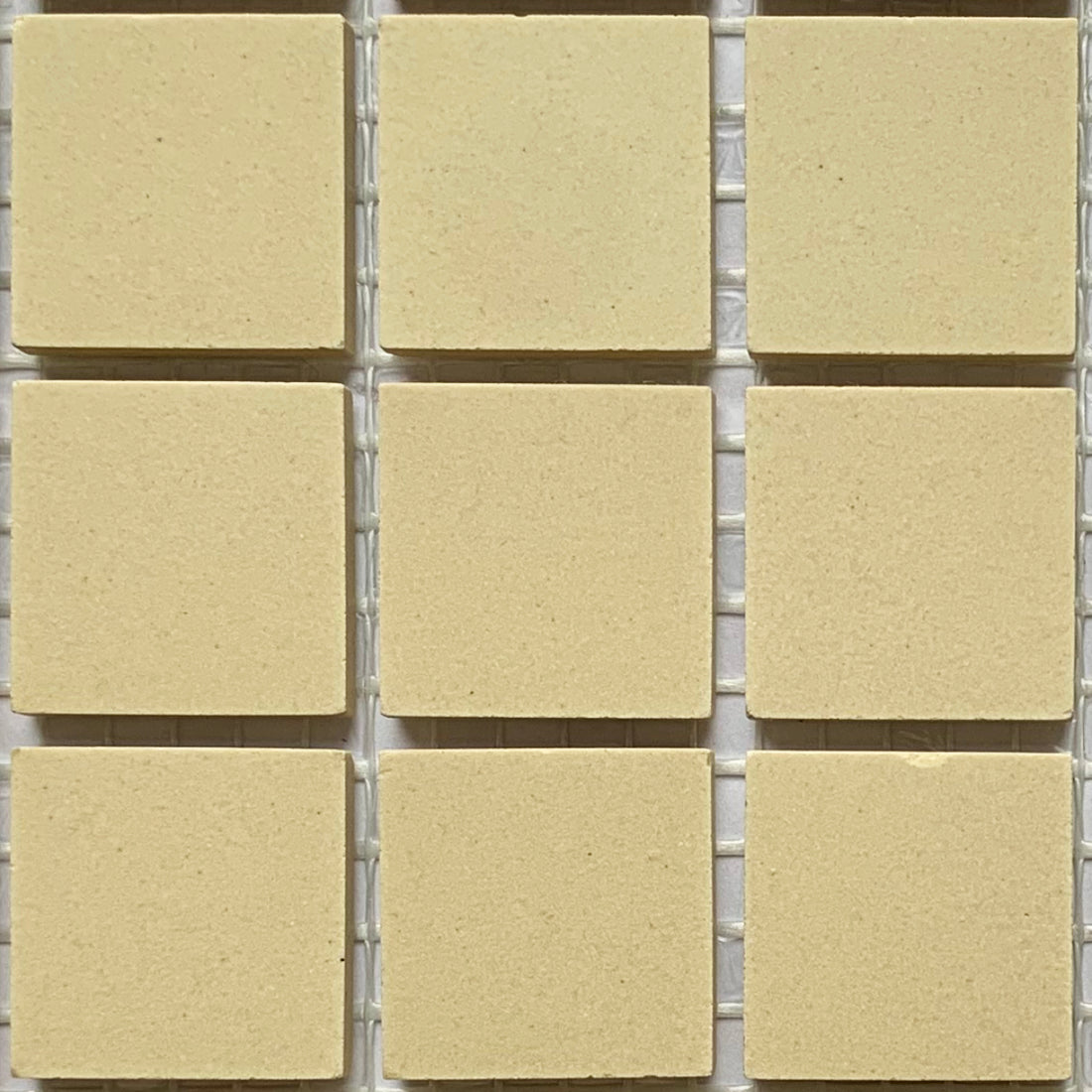 Winckelmans 50mm – Ivoire