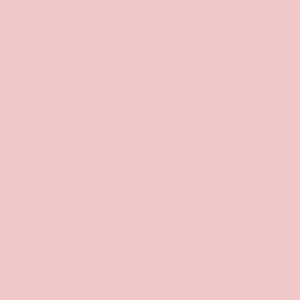 Winckelmans 100mm – Rose