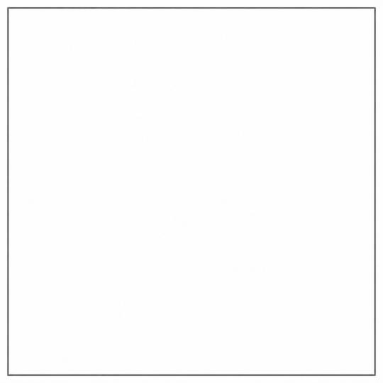 Winckelmans 100mm – Super Blanc